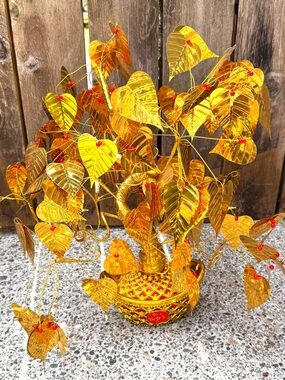 Golden Bodhi Tree Of Enlightenment
Ficus Religiosa Bodhi Peepal
